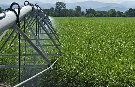 CHIKWAWA IRRIGATION SCHEME (SALIMA SUGAR COMPANY LIMITED PROJECT) Image